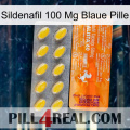 Sildenafil 100 Mg Blue Pill new05